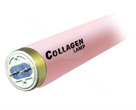 Collagen Plus 100W SR