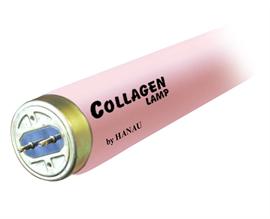OH M Collagen 100R