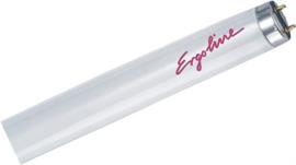 Ergoline Dynamic Power R 160W 1.0%